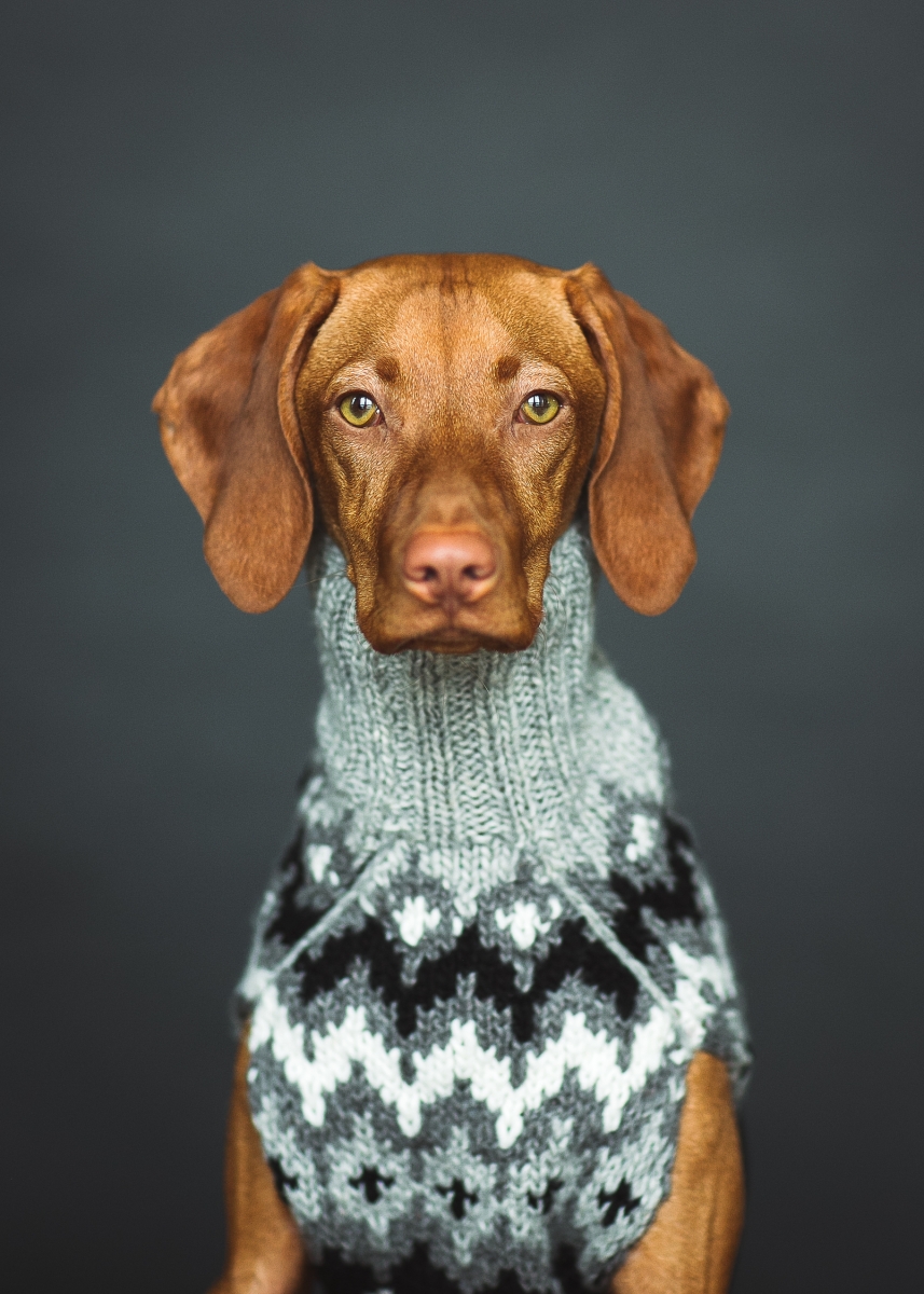 Sweater Weather by Debra Bernard