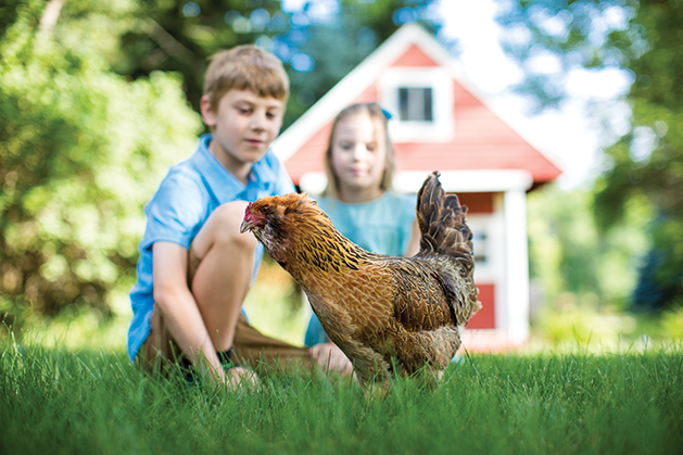 Emily Bretzel's children and a chicken outside