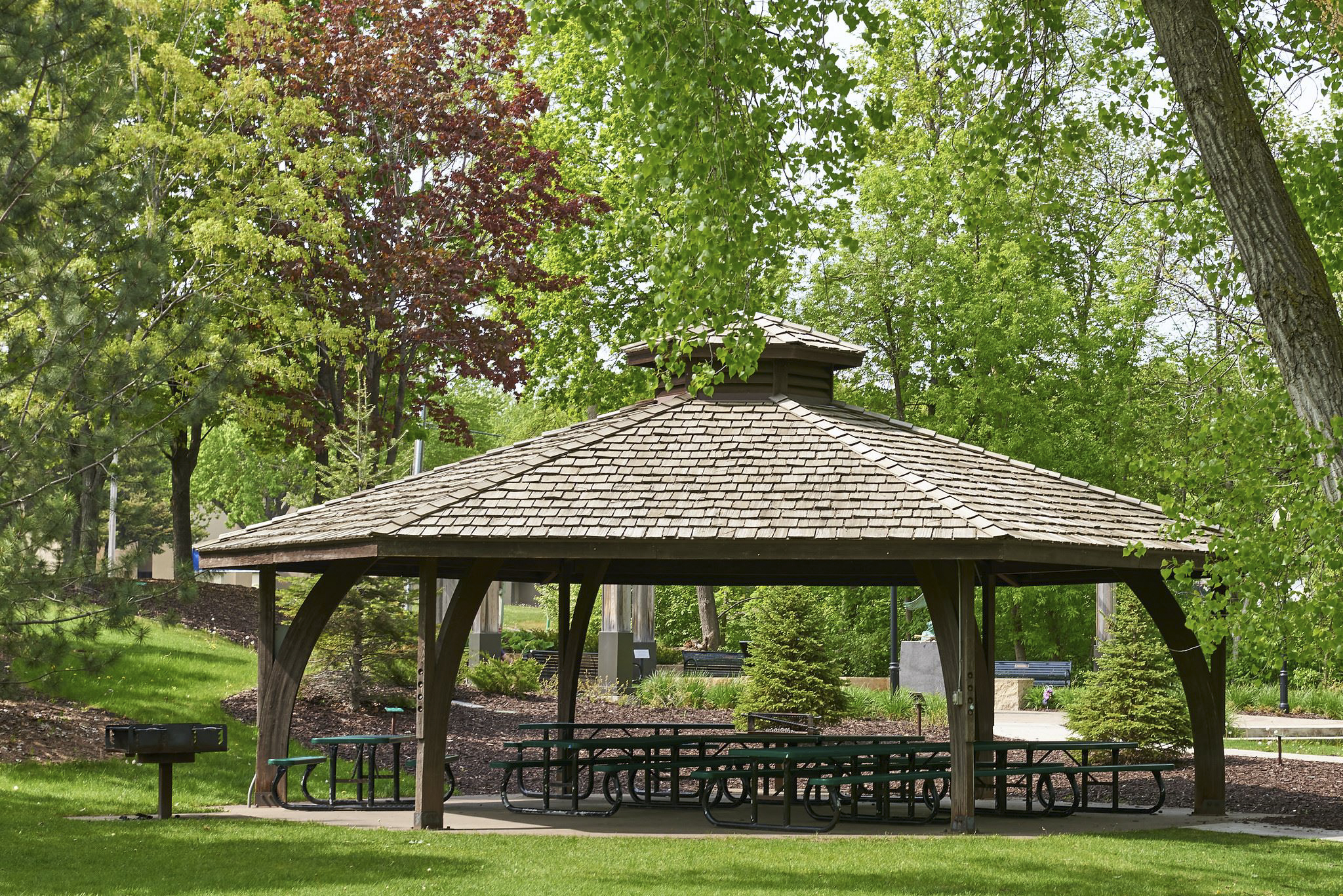 Maple Grove Arboretum