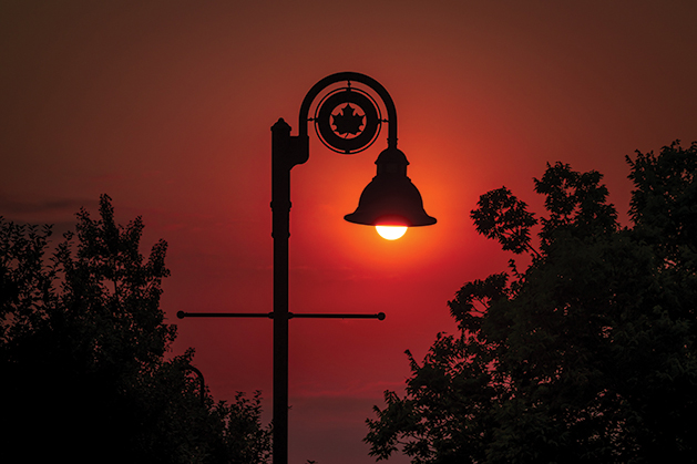 Maple Grove Sun Light by Rod Smoliak