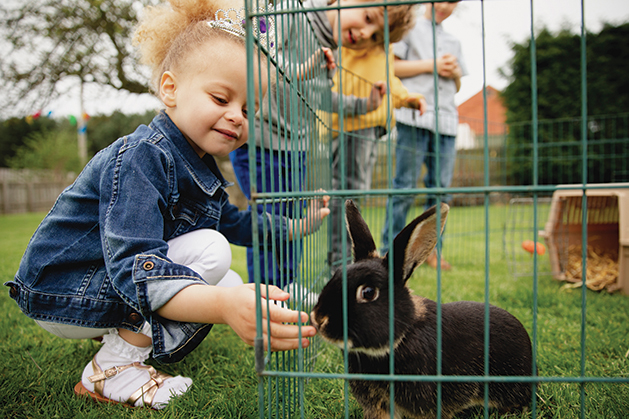 Little girl feeding a pet rabbit through the gap in the cage. She is smilig with happiness letting the rabbit smell her hand.