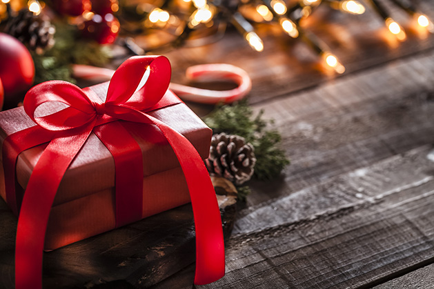 This Gift Giving Season, Give Back to the Community - Maple Grove Magazine