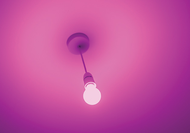 A purple lightbulb, which represents shining a light on domestic violence for Domestic Violence Awareness Month