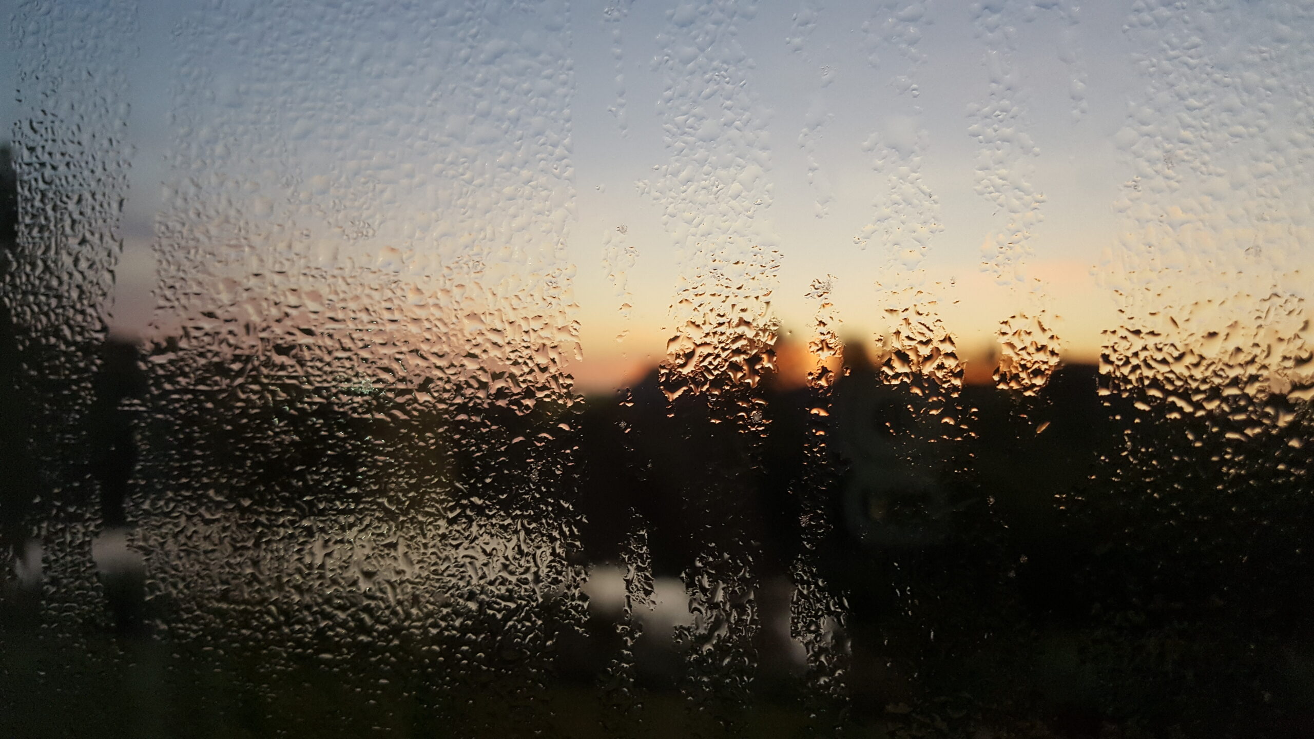 Morning Rain Sunrise by Molly Craig