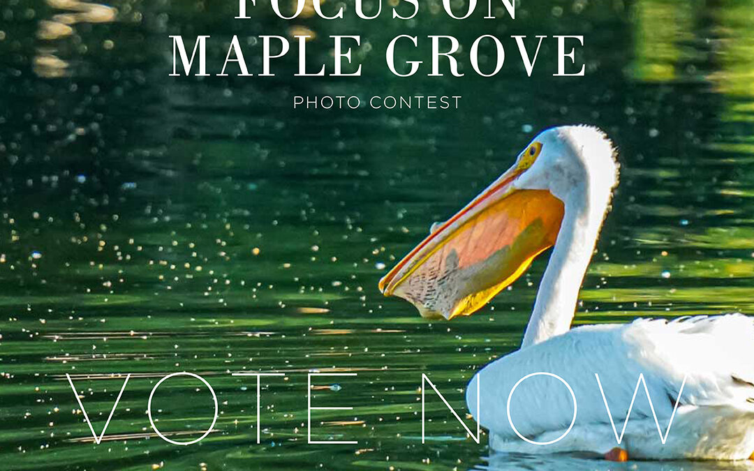 Reader’s Choice Voting for Focus on Maple Grove 2023