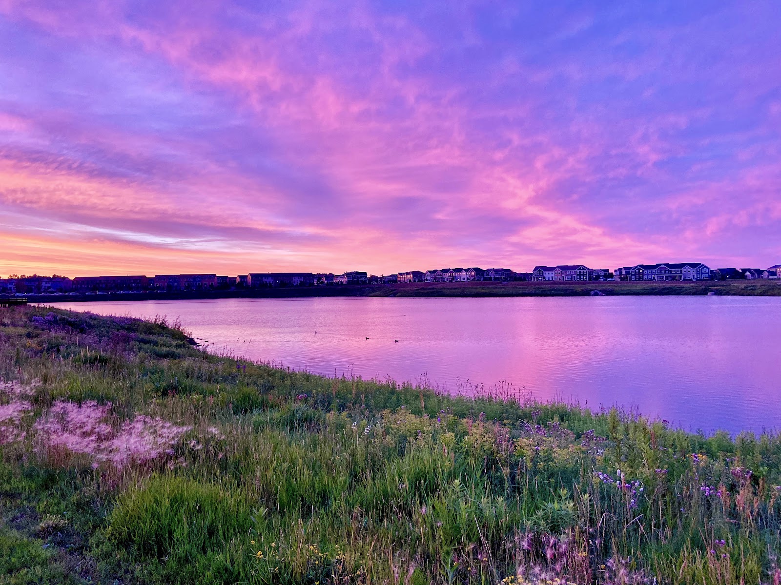 Readers' Choice: Purple sunset by Andrew Leonard
