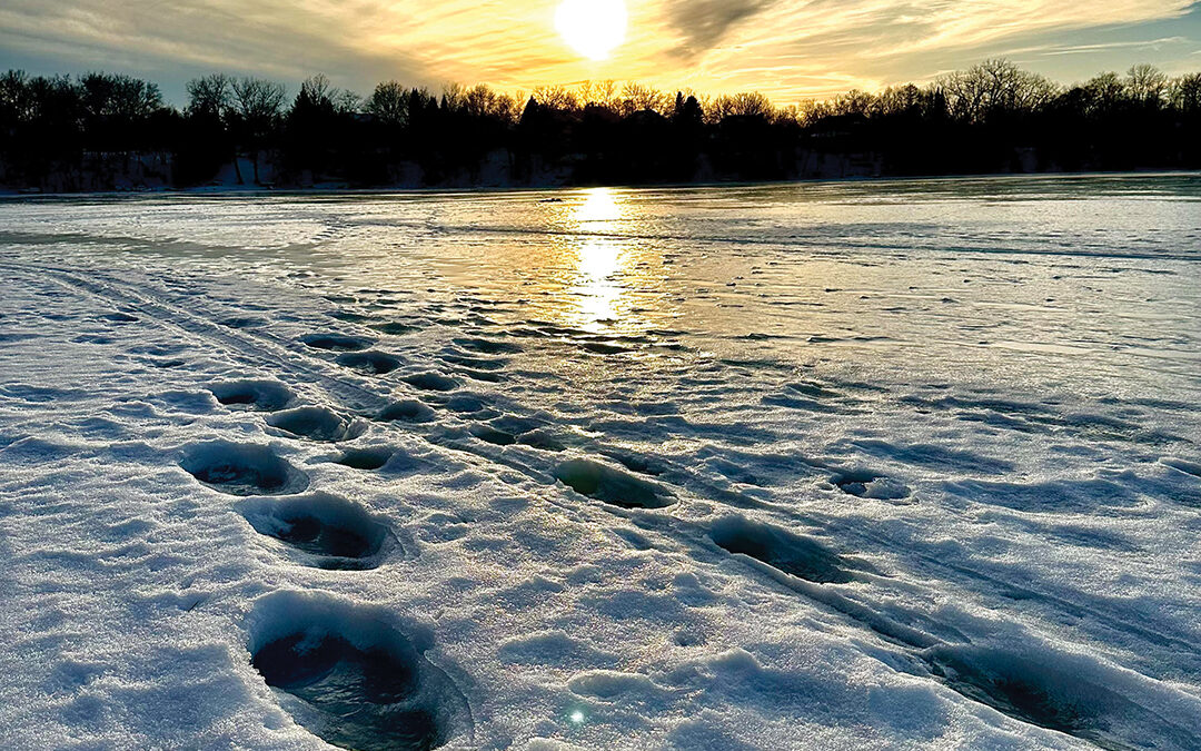 A Winter Walk at Edward Lake