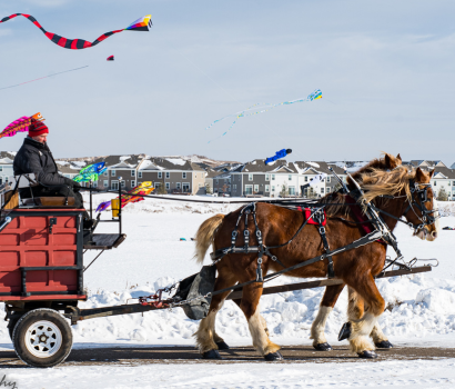 Wonders of Winter horse wagon ride