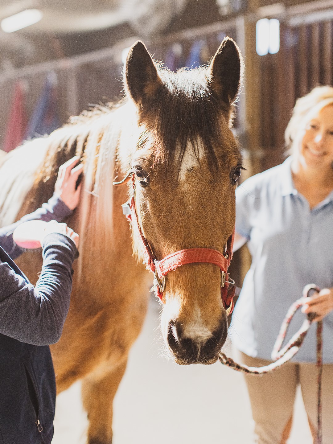 Michelle Haury brushes Romeo, a Tennesee Walker/Rocky Mountain Horse, with volunteer and Maple Grove resident Kim Hawes.