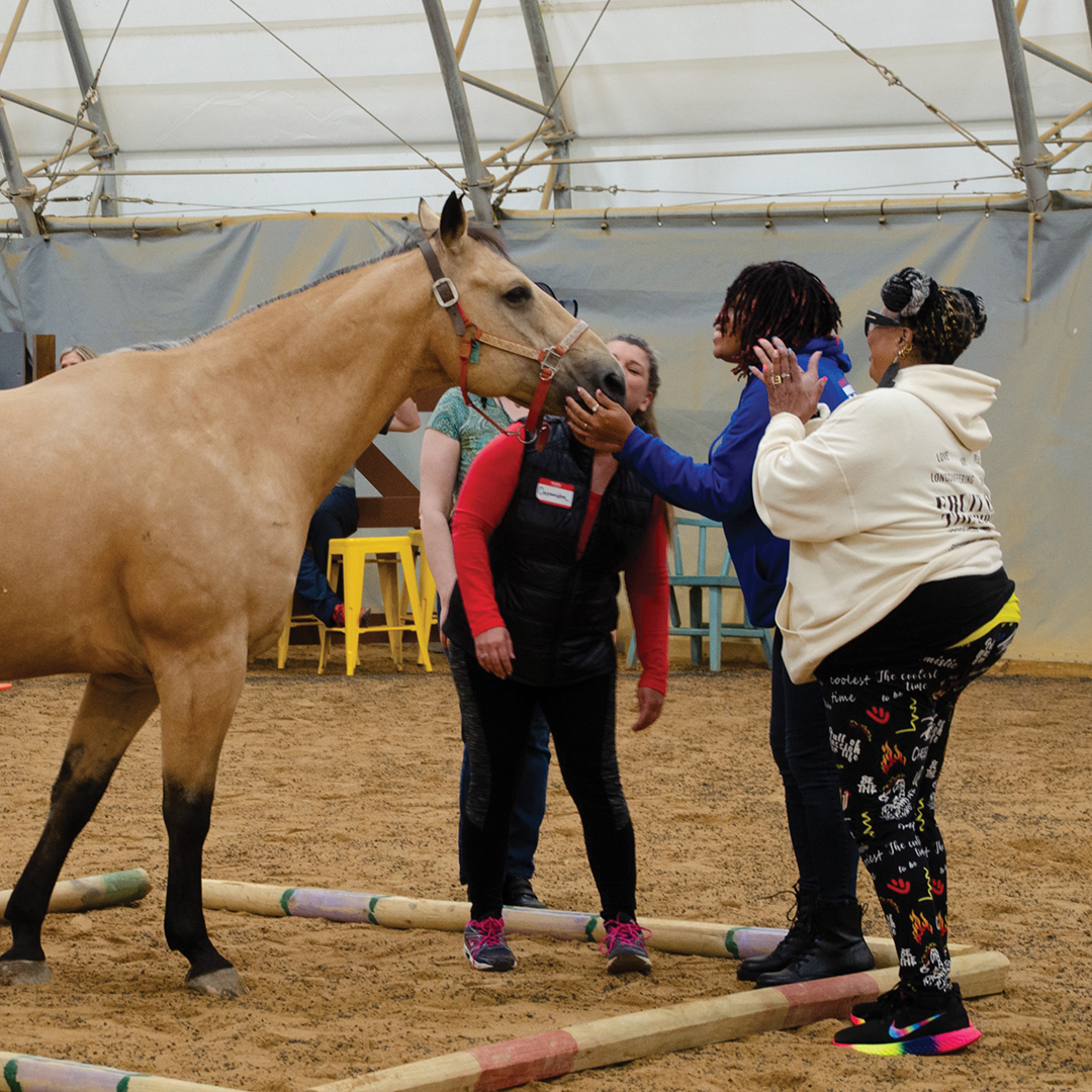 Horse named Henry working with two people