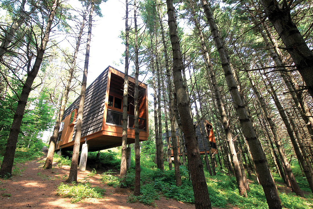 Consider driving south for your microcation. The unique cabins in Whitetail Woods Regional Park can accommodate up to six people, plus trails are plentiful on the Dakota County Parks grounds.
