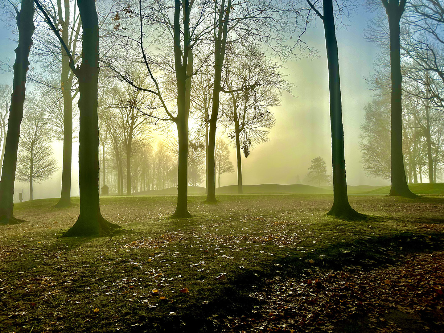 Early fall mornings