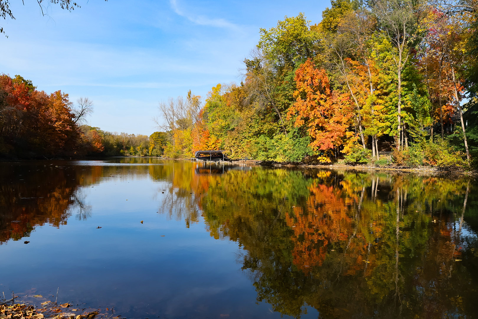 Autumn Beauty
