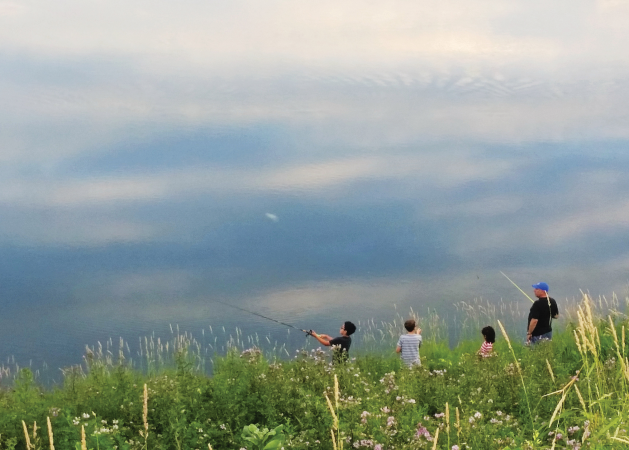 Focus on Maple Grove: Catching Clouds