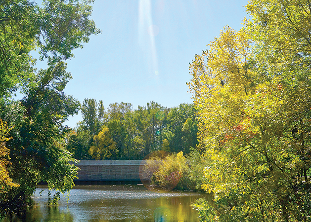 Focus on Maple Grove: Summer’s Last Hoorah