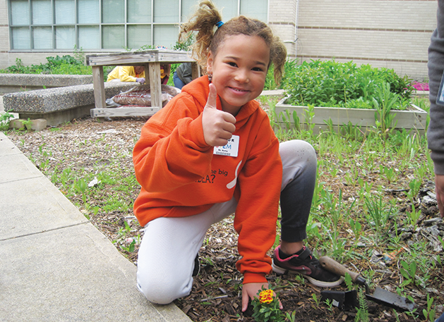 The Garden Path of Kids’ Curiosity