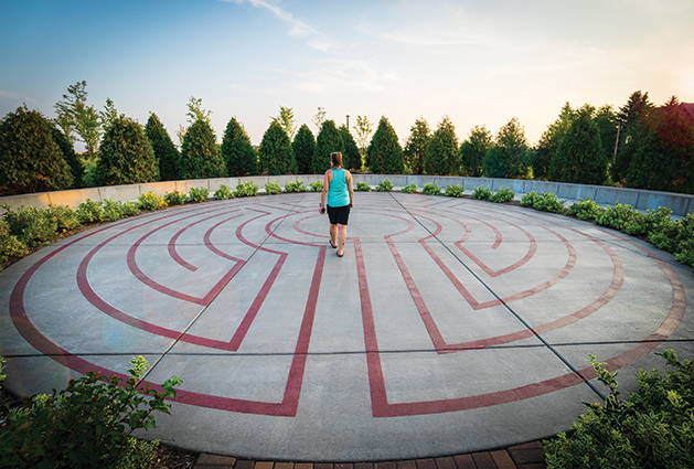 Focus on Maple Grove: Finding Your Way