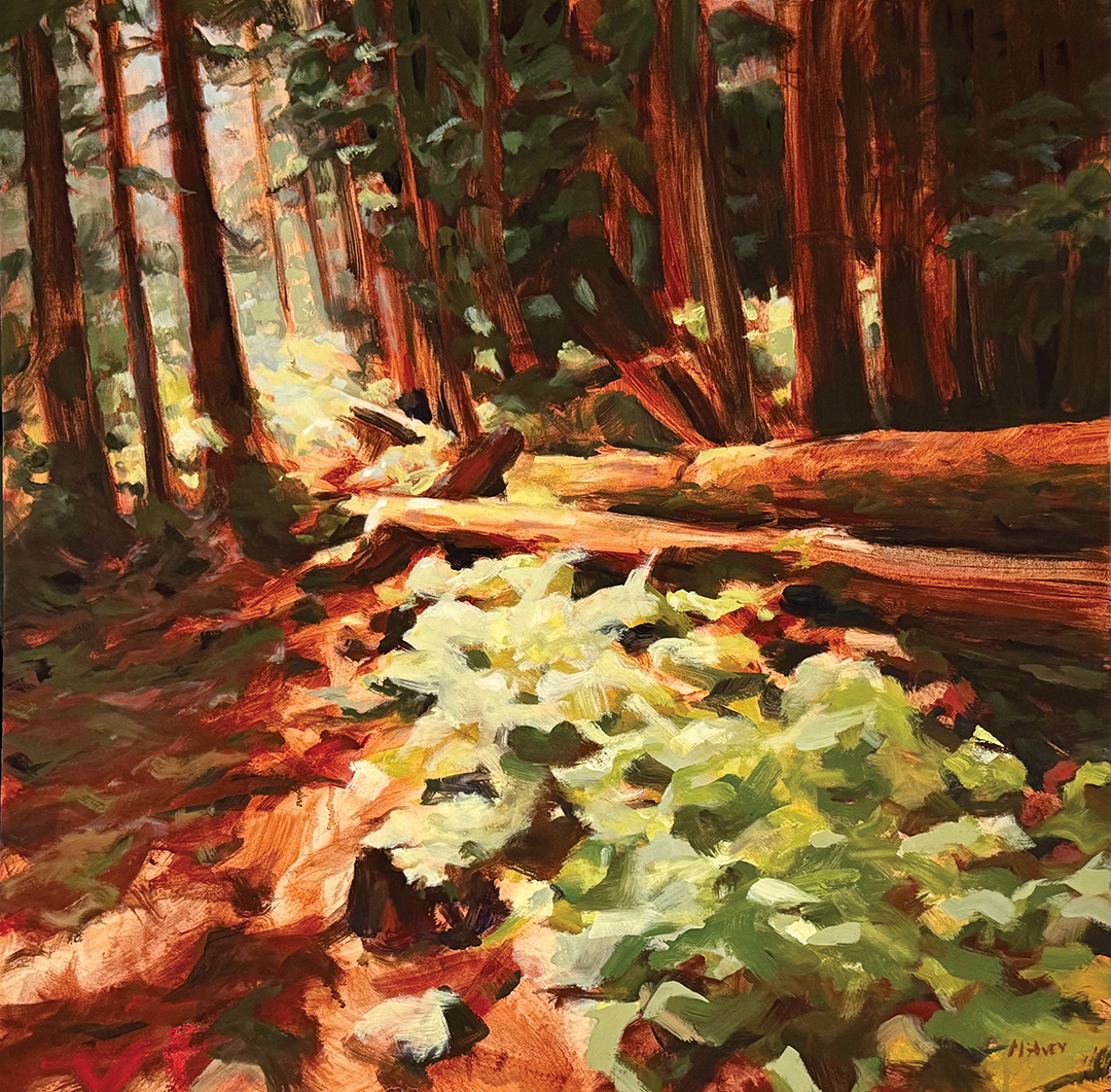 Above: “I started the summer with a trip to Oregon with friends,” Dan McAvey says. “This studio painting was made from a photo I took while hiking in Willamette National Forest.”Light Spills In, oil on panel, 24”x24”
