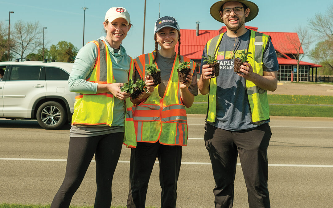 Help Beautify Maple Grove at the Boulevard Planting Event