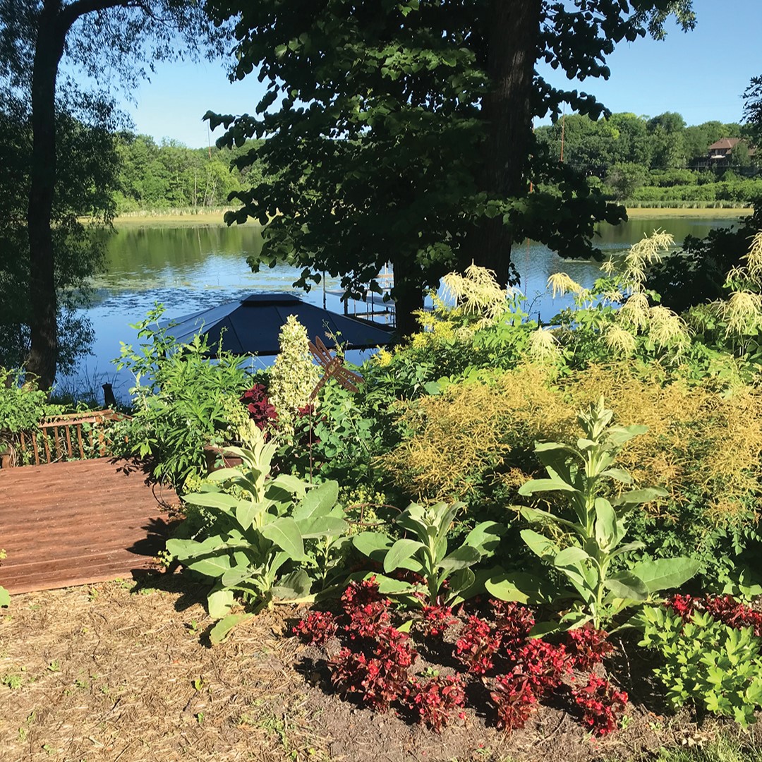 Heidi Heiland backyard overlooking a lake