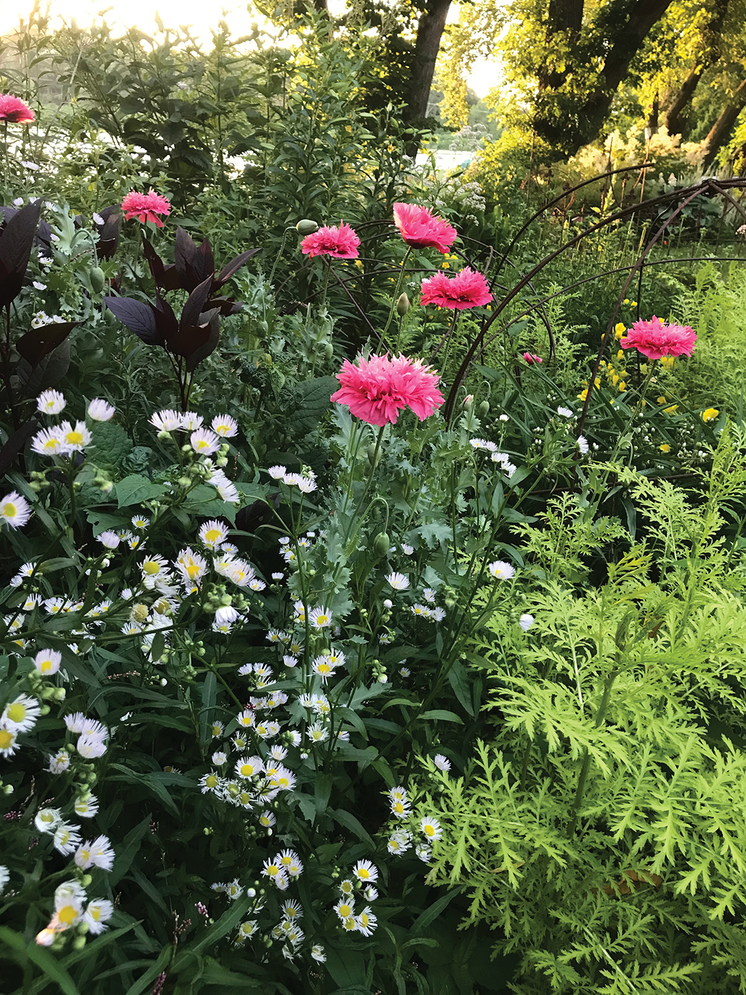 Gardening can be a healing and ever-changing art form. Heidi Heiland encourages gardeners to start small, observe, adapt and have fun. The true joy comes from experimenting and connecting with nature.