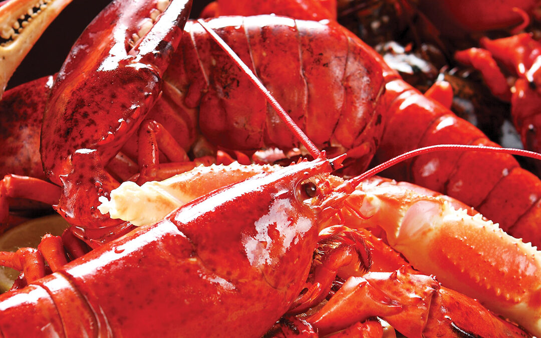 An Expert Weighs in on How To Cook Lobster