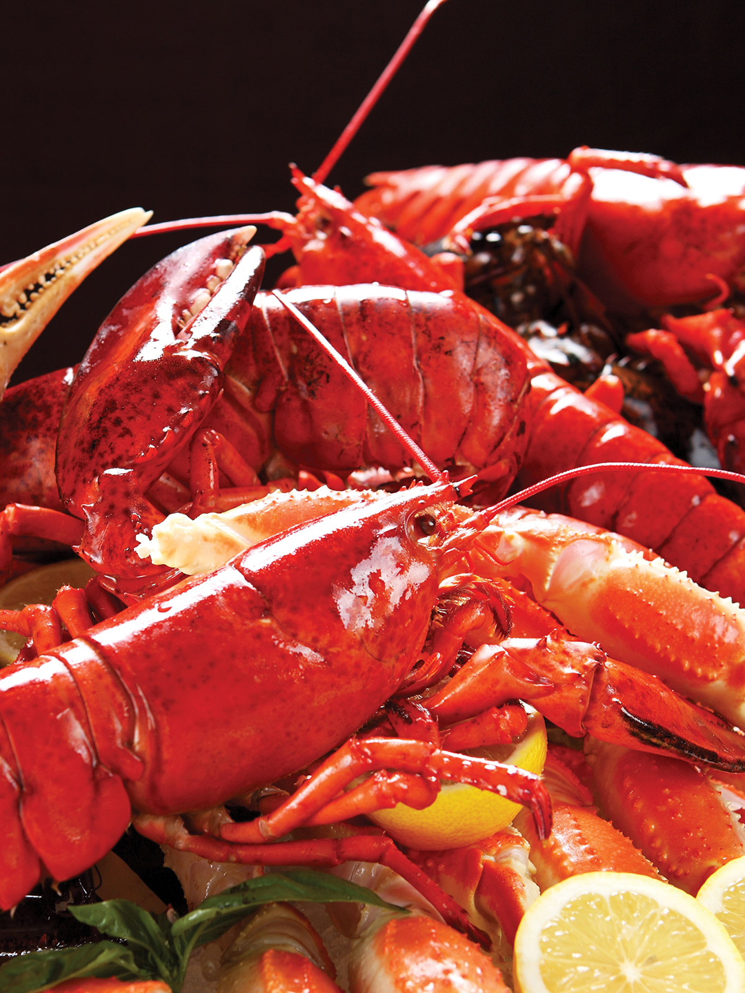 Pile of cooked red lobster