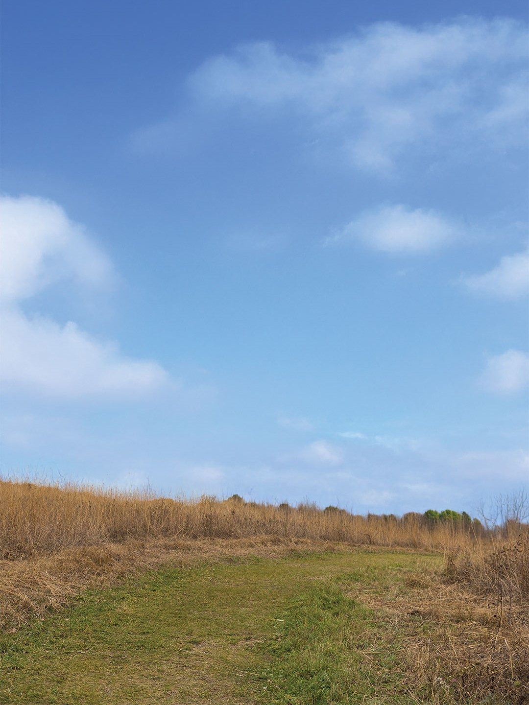 Elm Creek Park Reserve felt like a reprieve from the bustle of the surrounding West Metro.