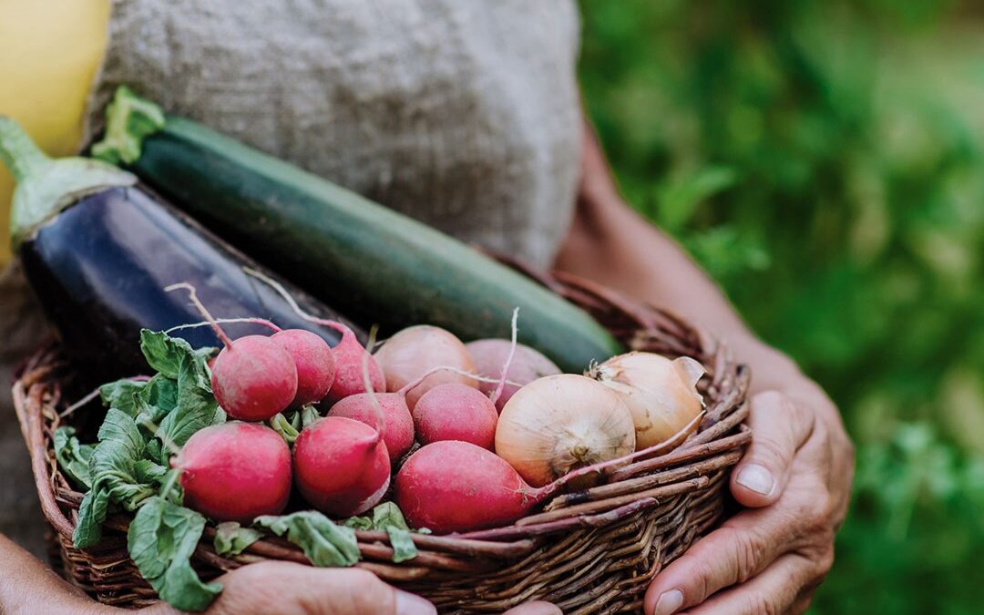 Farmers Market Vendors Add an Extra Layer To Supporting Local