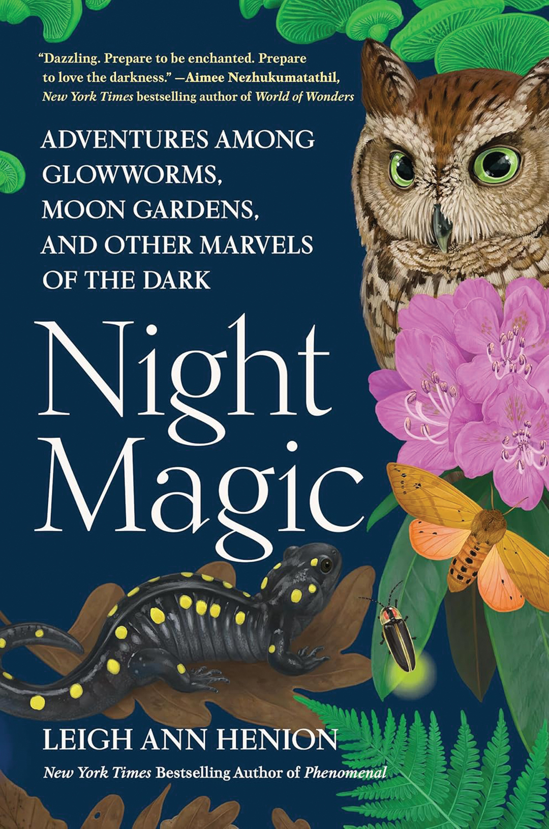 Night Magic book cover