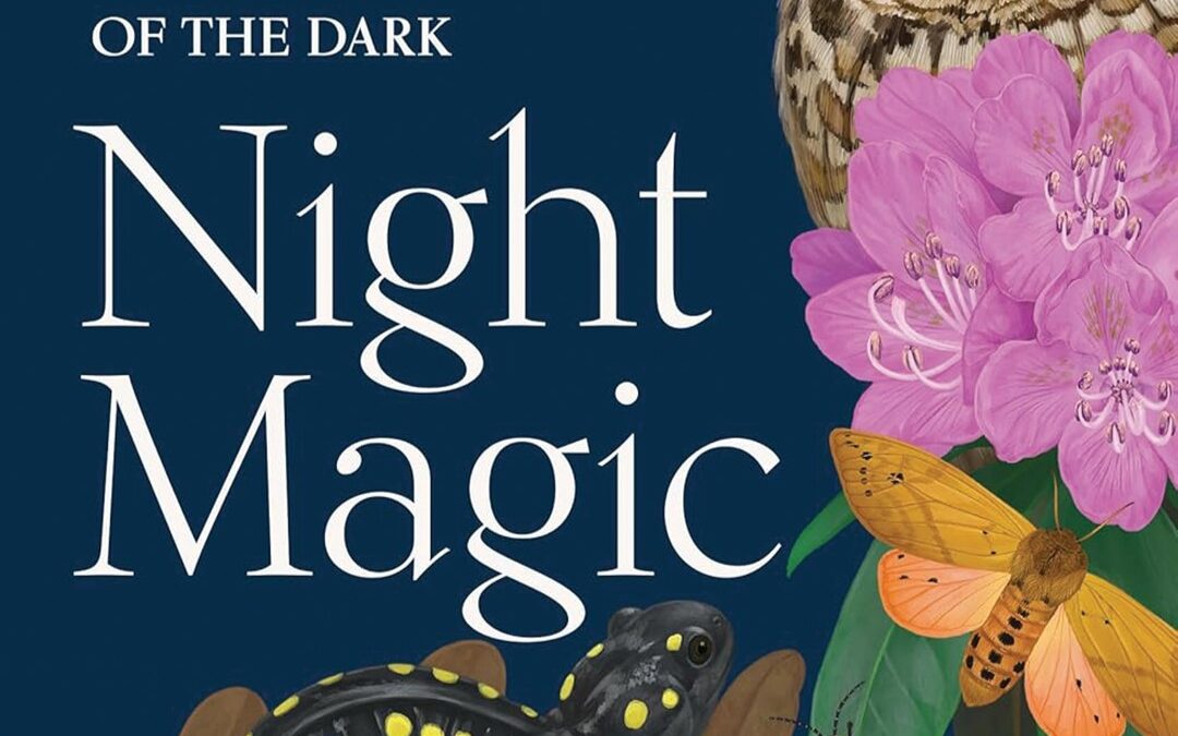 “Night Magic”