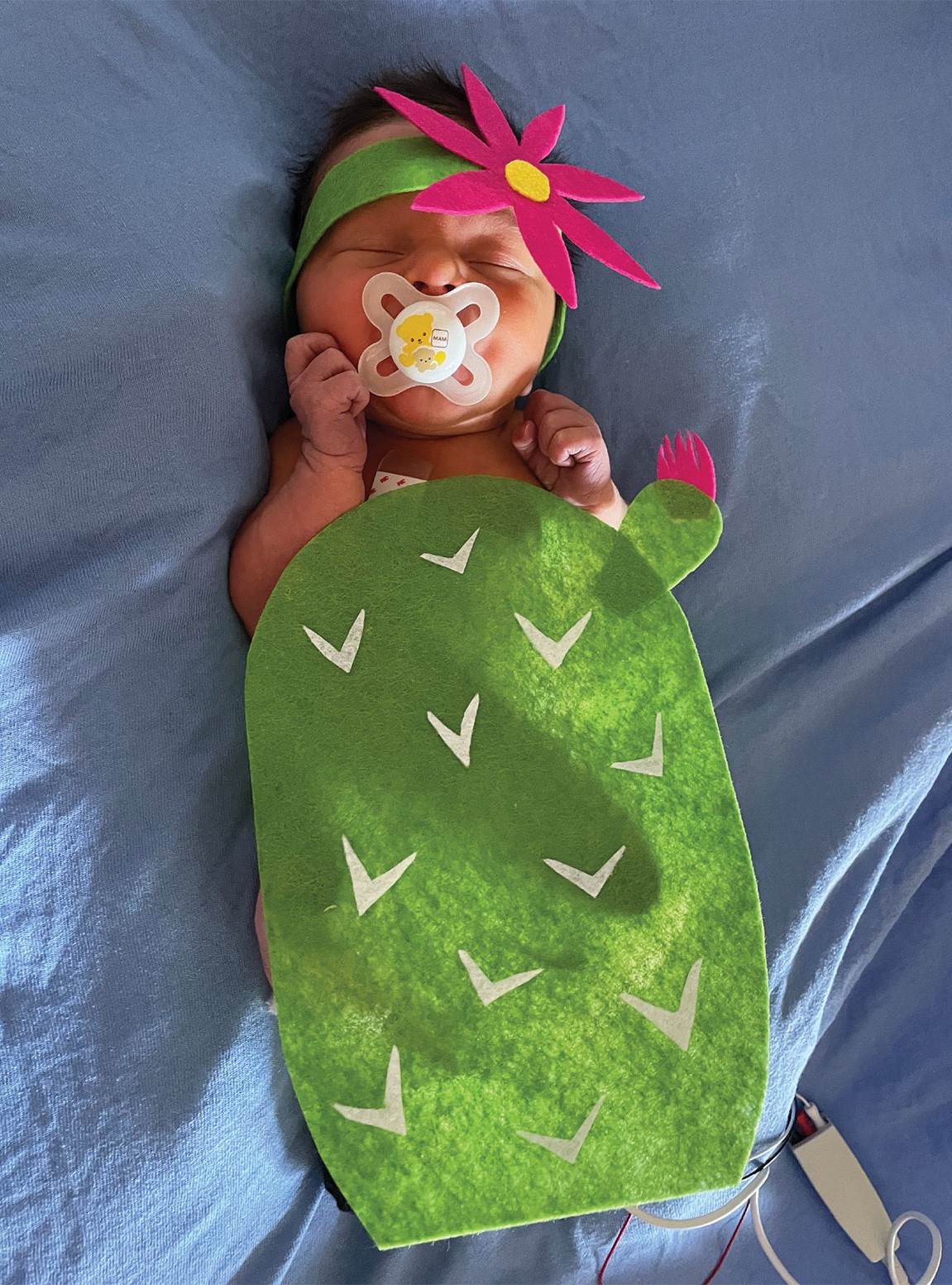 NICU baby dressed as a cactus for Halloween