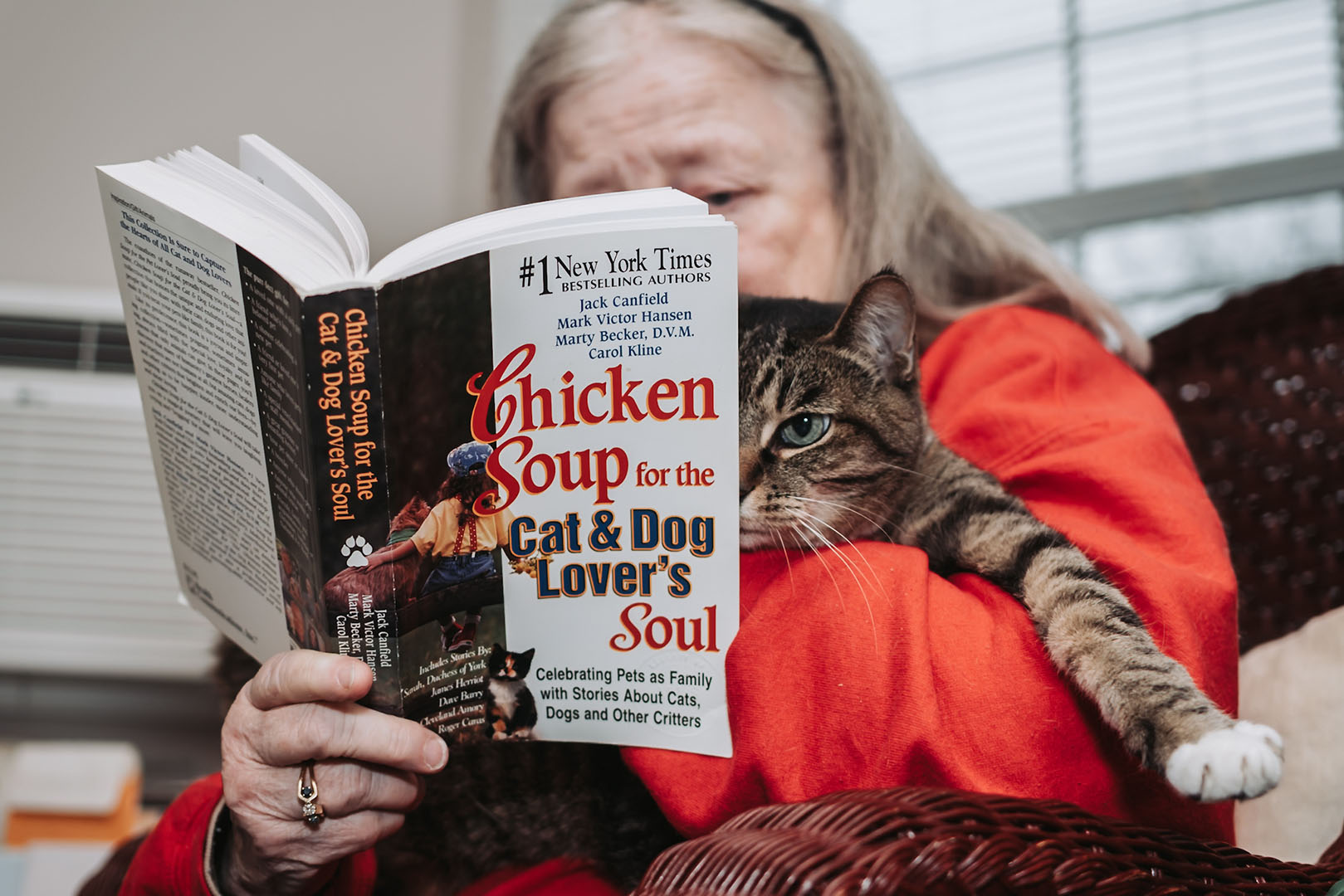 Cozy, Comfy Reads
