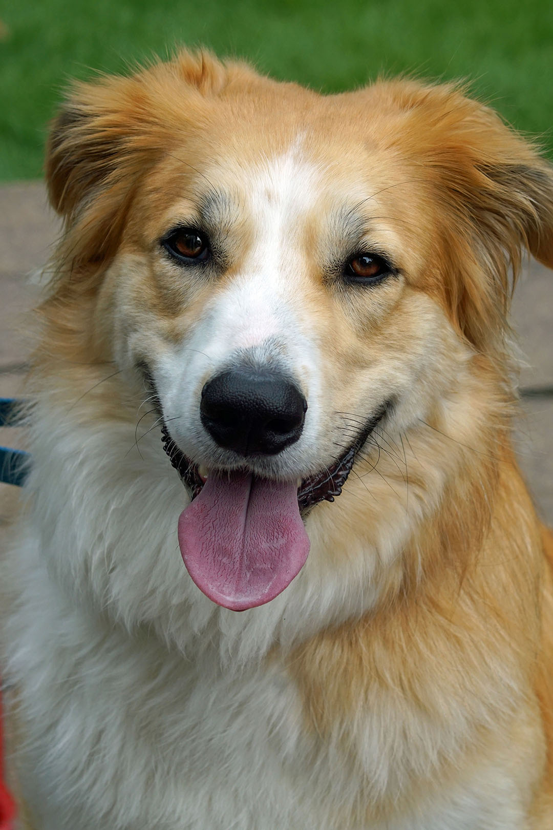 Sophie Smiles
